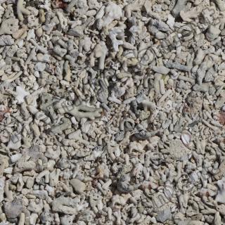 seamless gravel 0020